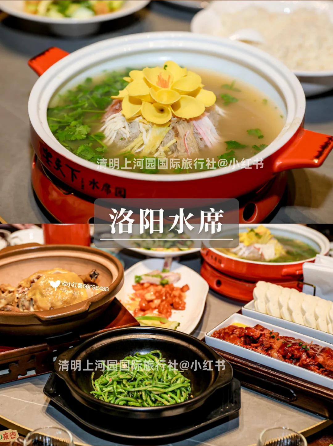 大数据请把这篇推给3-4月去河南的姐妹‼️