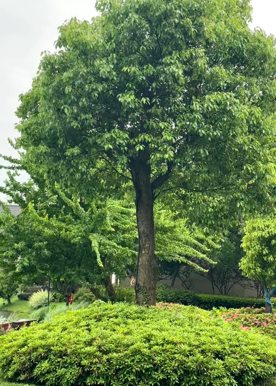 池州，绝对是被低估的旅游城市！太低调