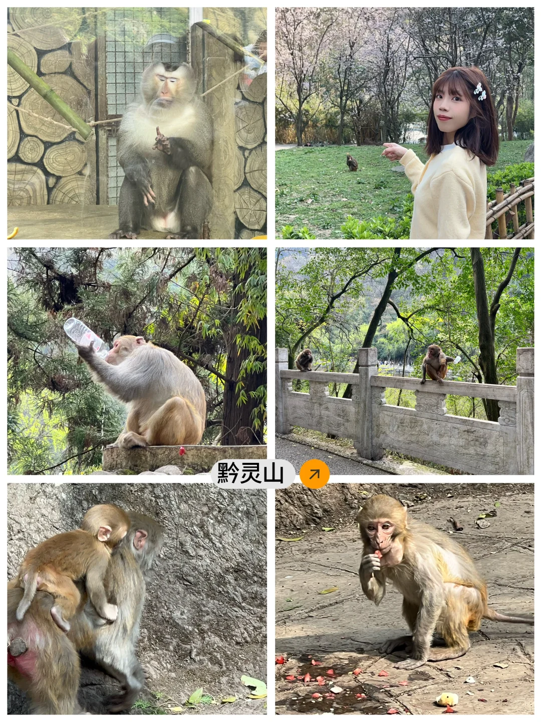 玉林——贵州四天三晚自由行旅游攻略