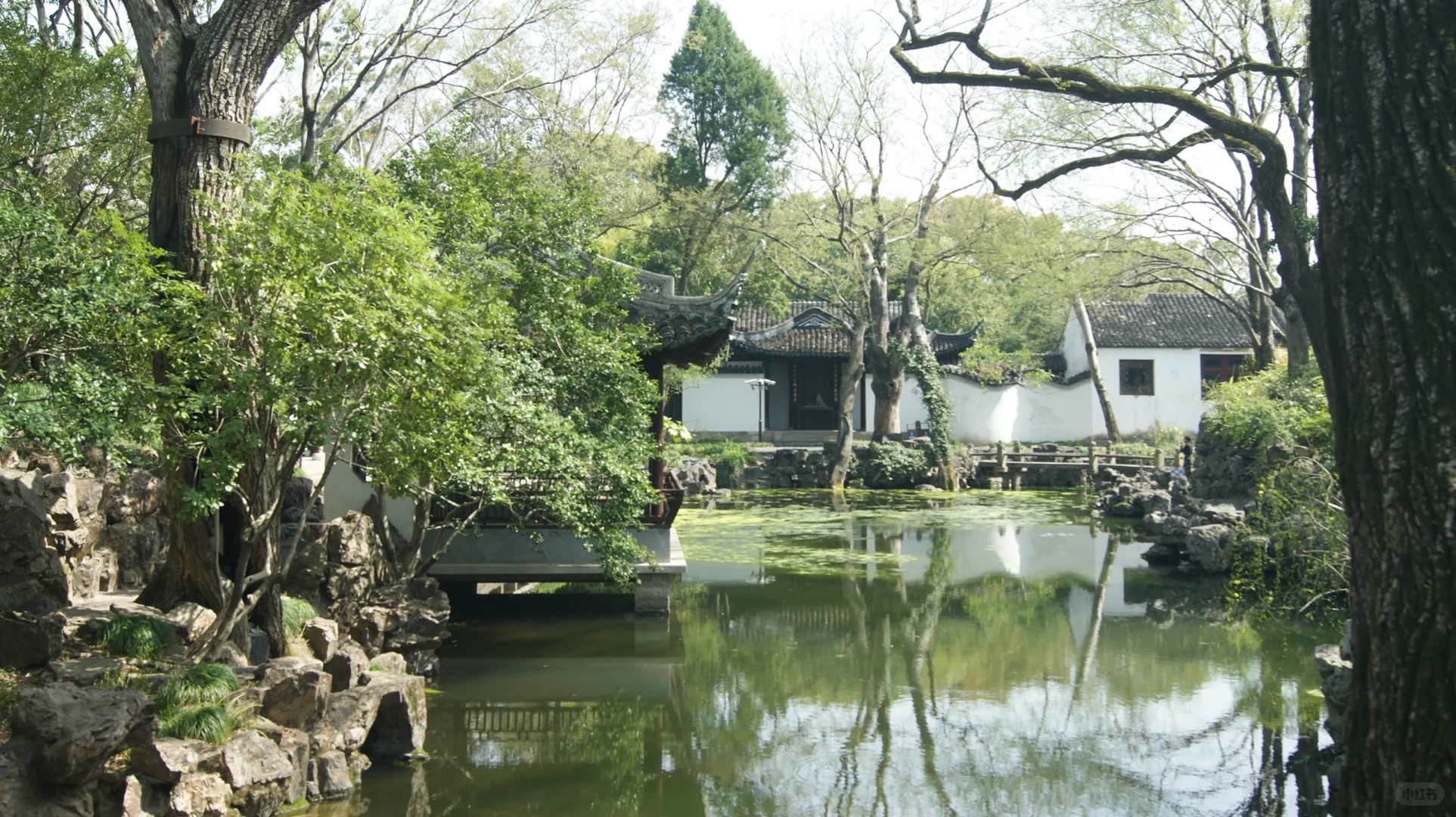 初春秋霞圃