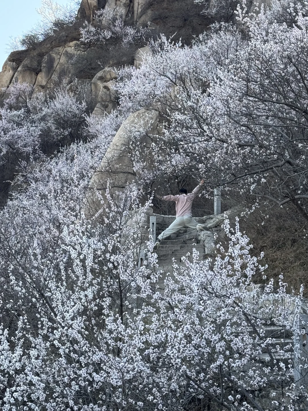真正的春光敢于无滤镜直出live photo