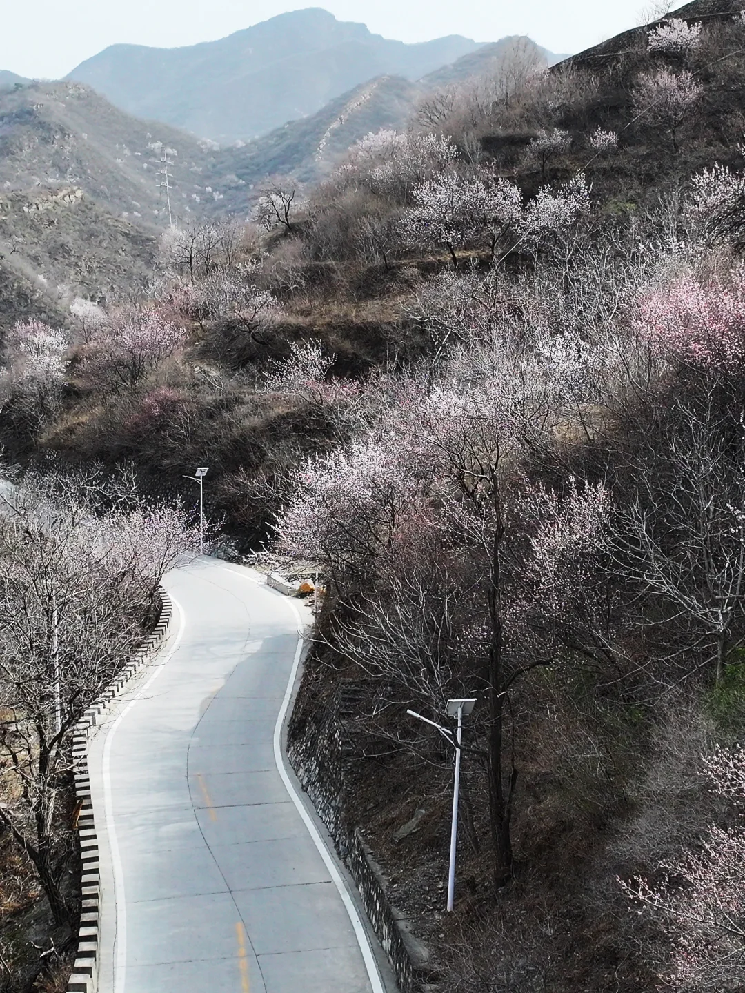 3.23实拍 | 在房山，幽岚山深处的桃花源！