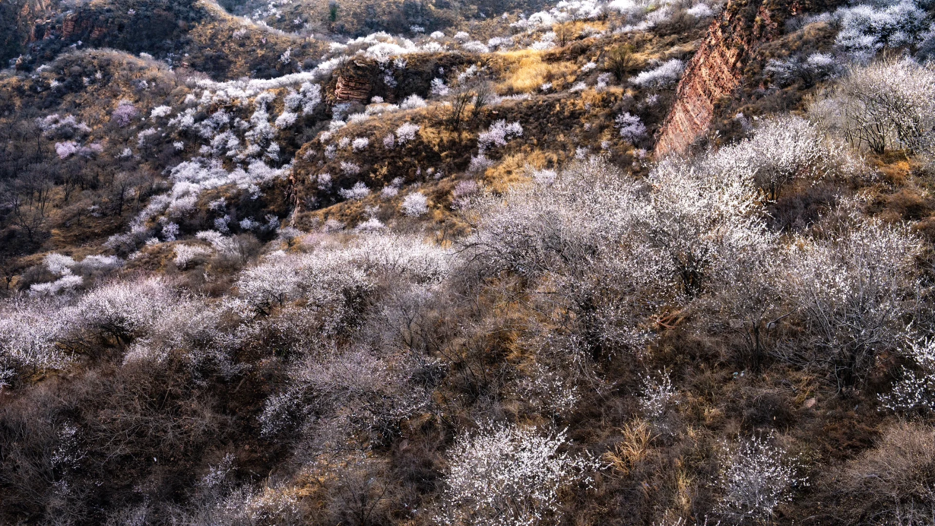 古武当山