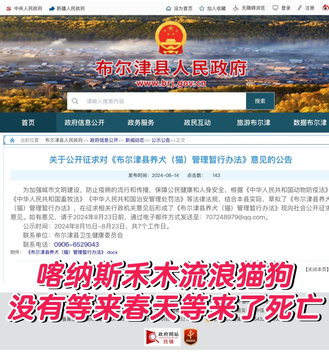 喀纳斯禾木流浪猫狗 最终等来的还是死亡