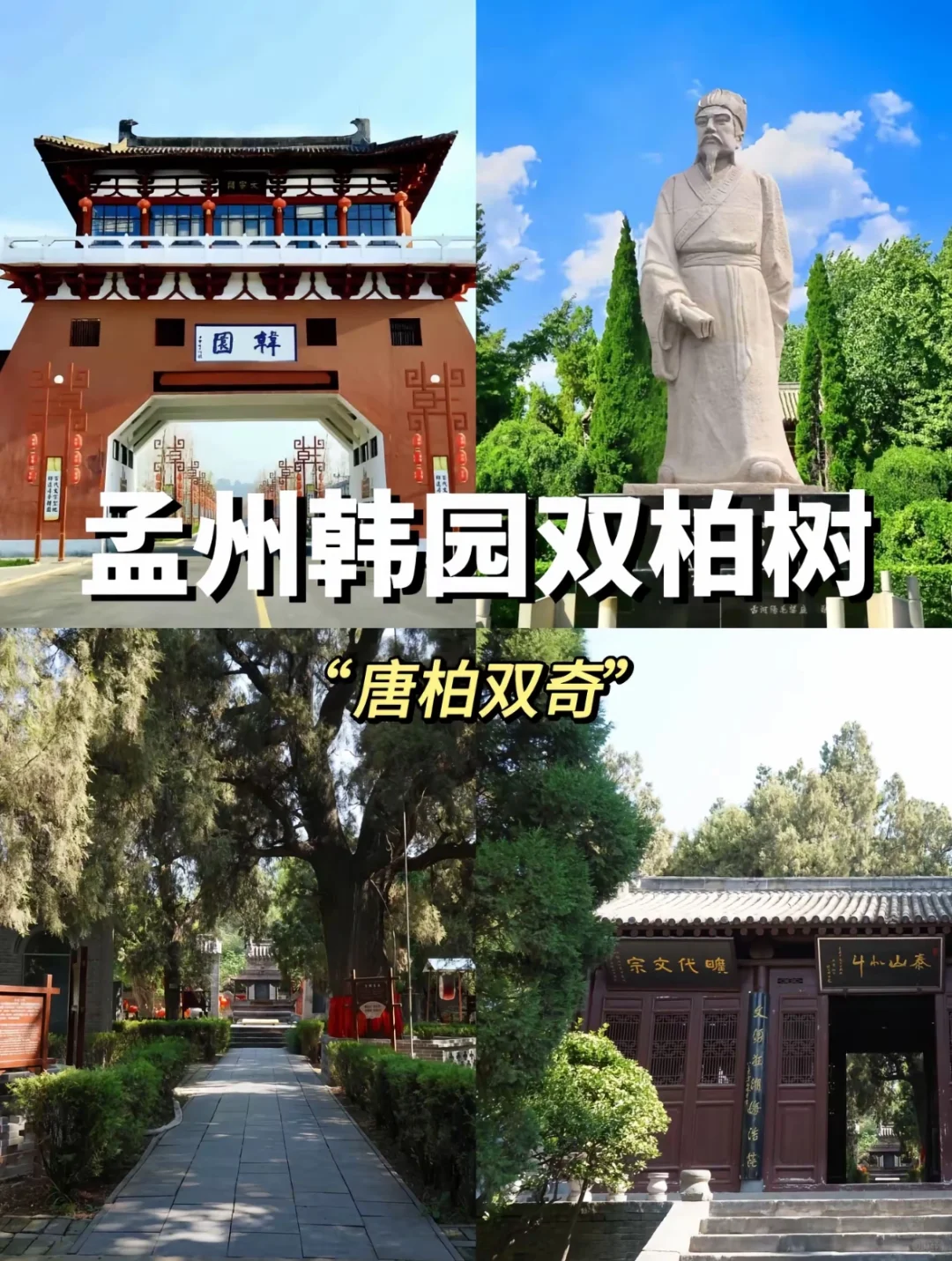 💥【焦作48小时】人均500+玩转河南秘境！