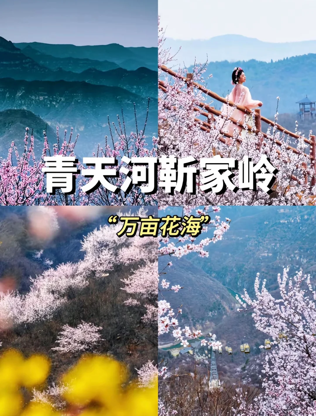 💥【焦作48小时】人均500+玩转河南秘境！