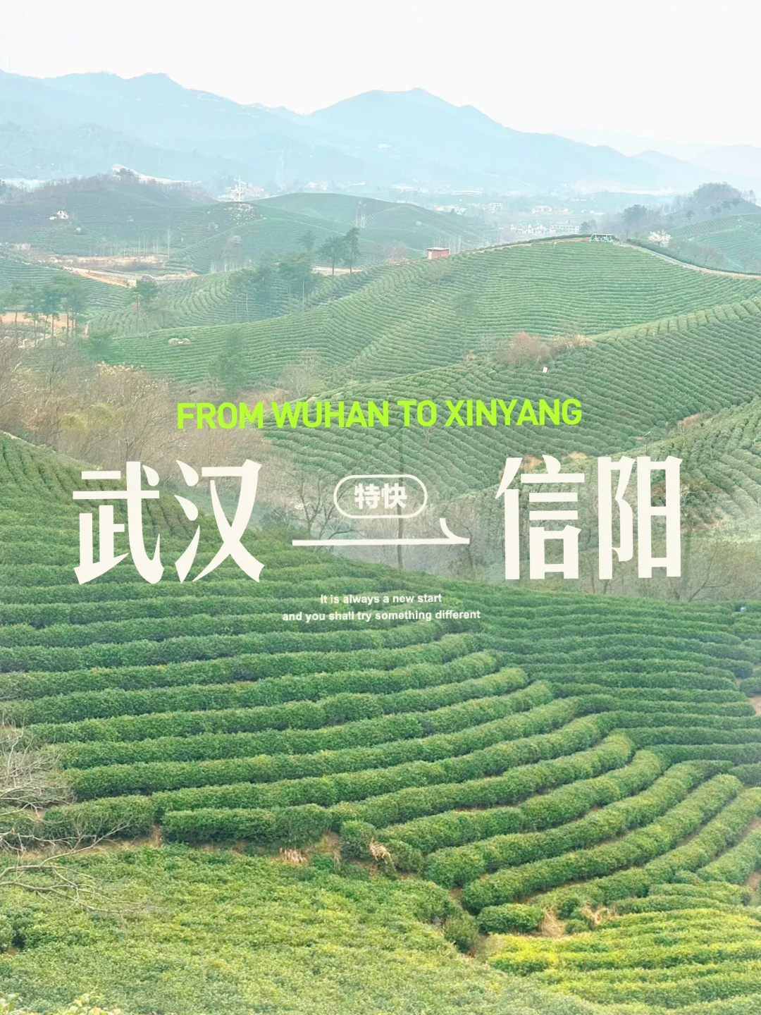 周末出发，武汉打工人满血复活！✨