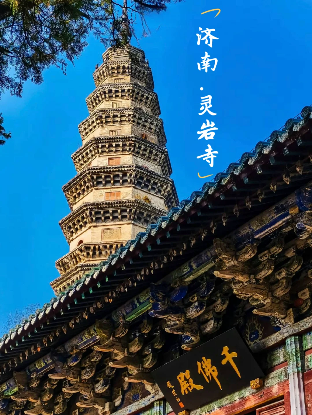 大学生必冲！灵岩寺免票探秘之旅