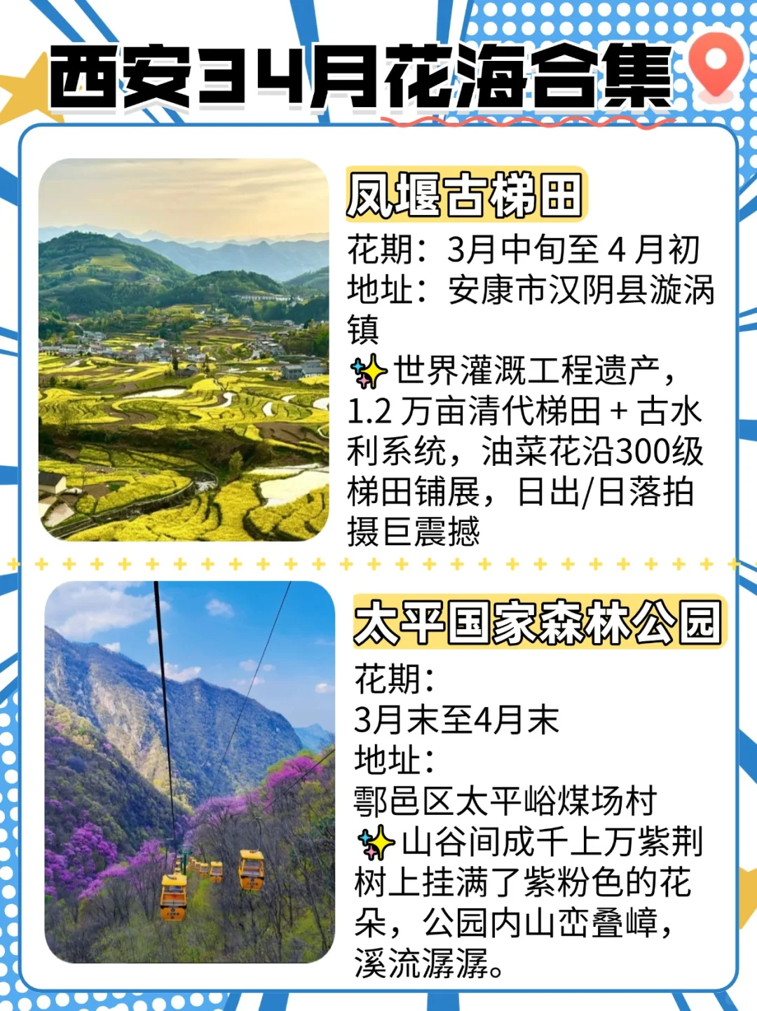 西安3-4月周边这些绝美花海和秘境
