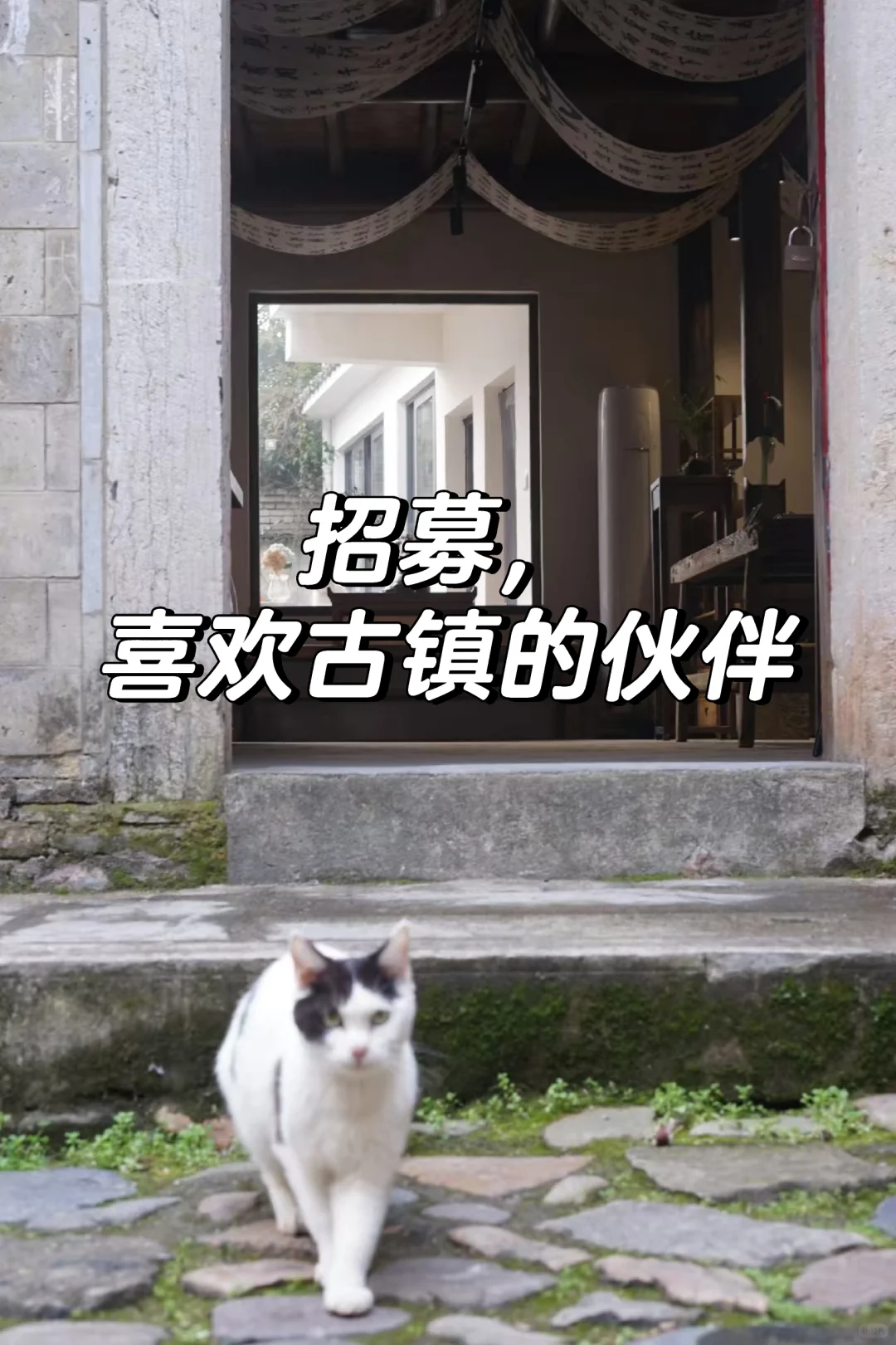 一起来玩！10间景区小院待认领