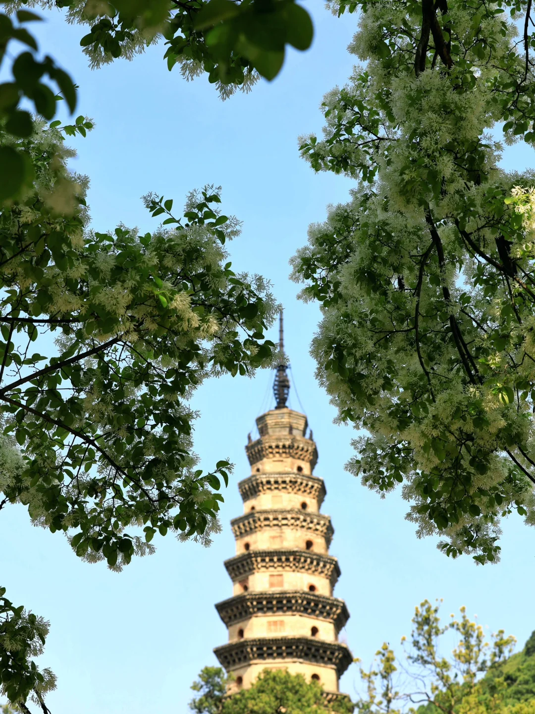大学生必冲！灵岩寺免票探秘之旅