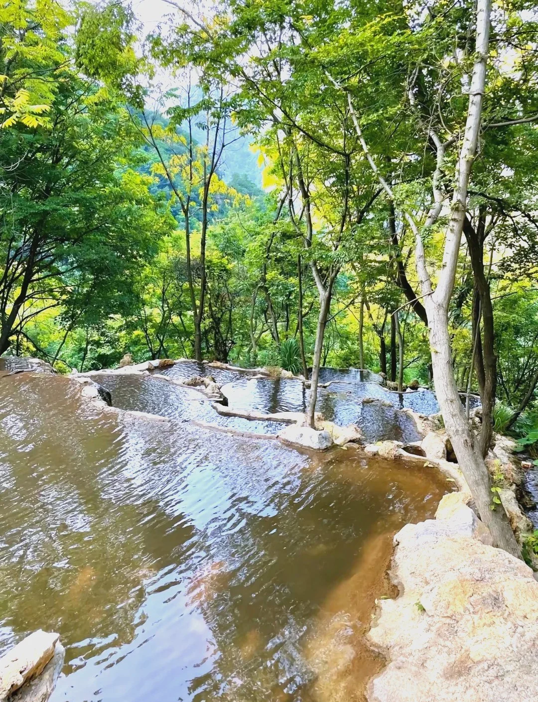 远赴人间惊鸿宴老君山三月踏春全攻略