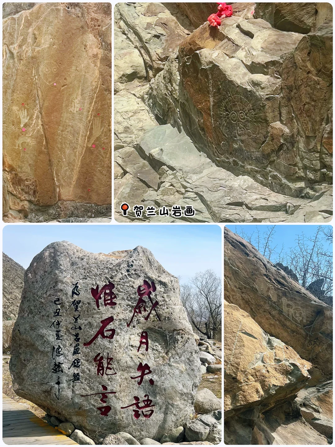 人在银川一天半，👛只受了点皮外伤