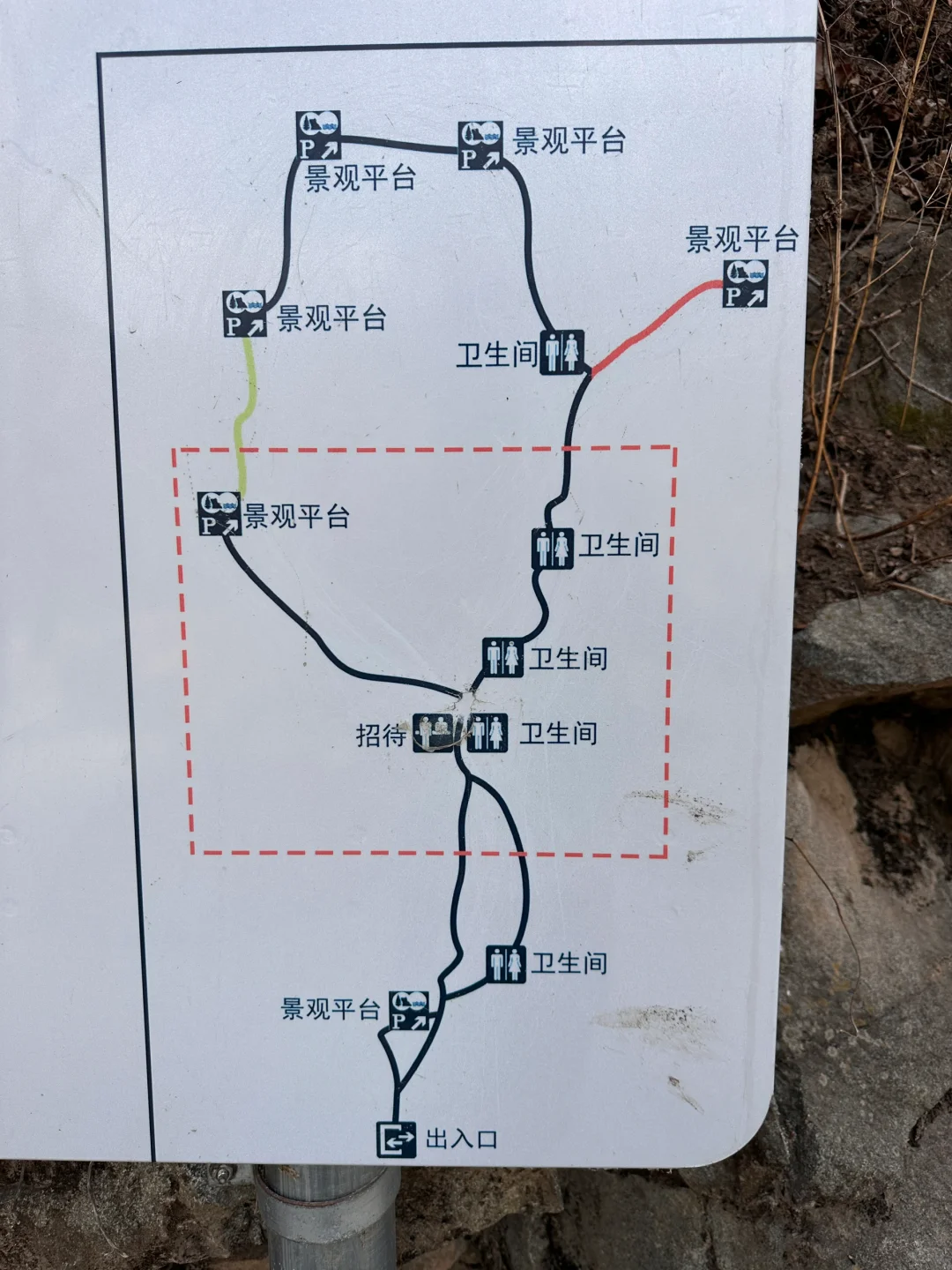 4.1实况🚗1.5h｜绝美赏花栈道🌸美得不像话