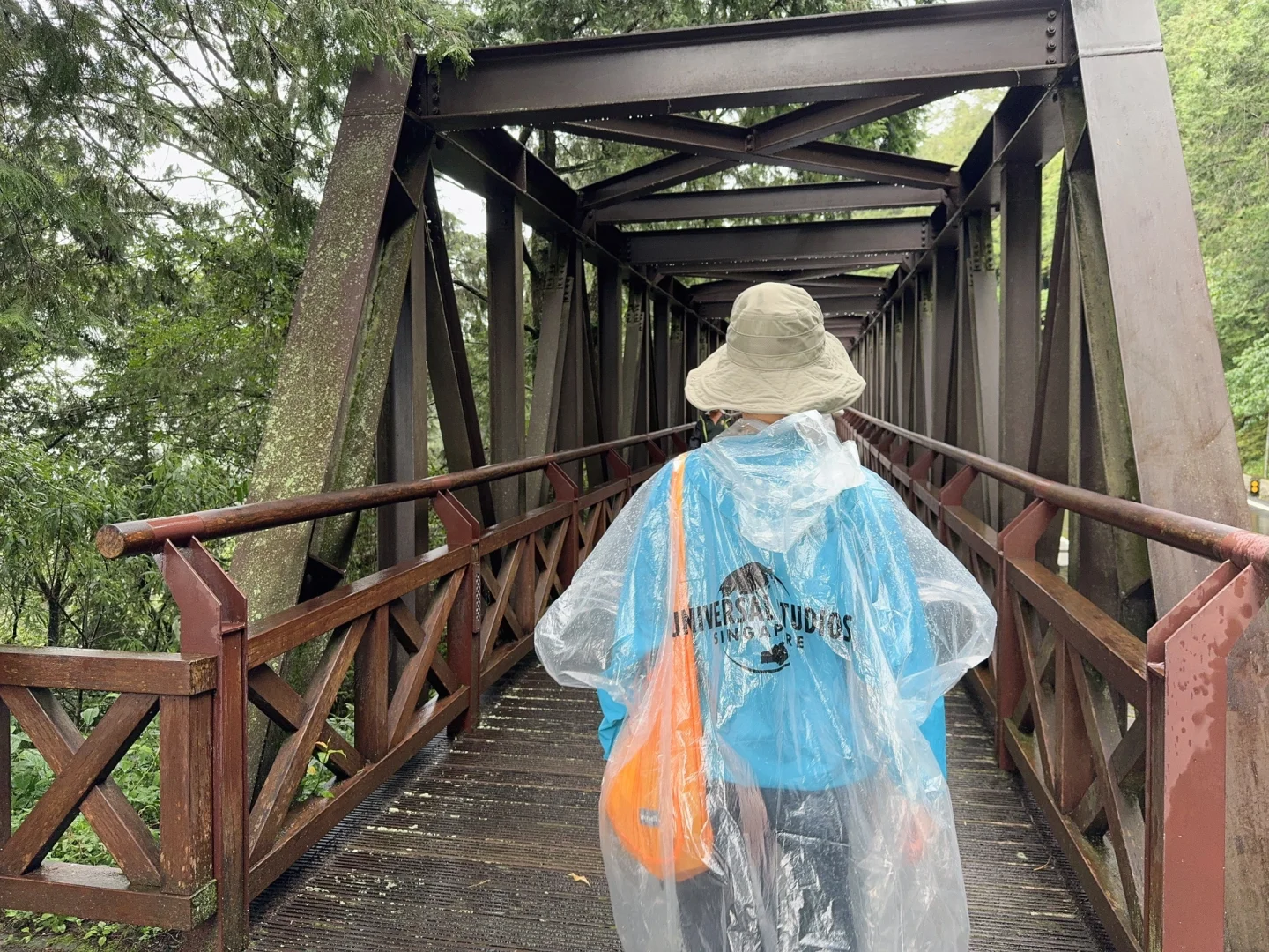 阿里山｜女生独行当日往返｜交通、景点、装备