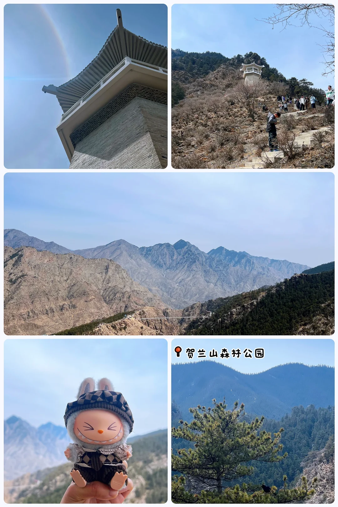 人在银川一天半，👛只受了点皮外伤