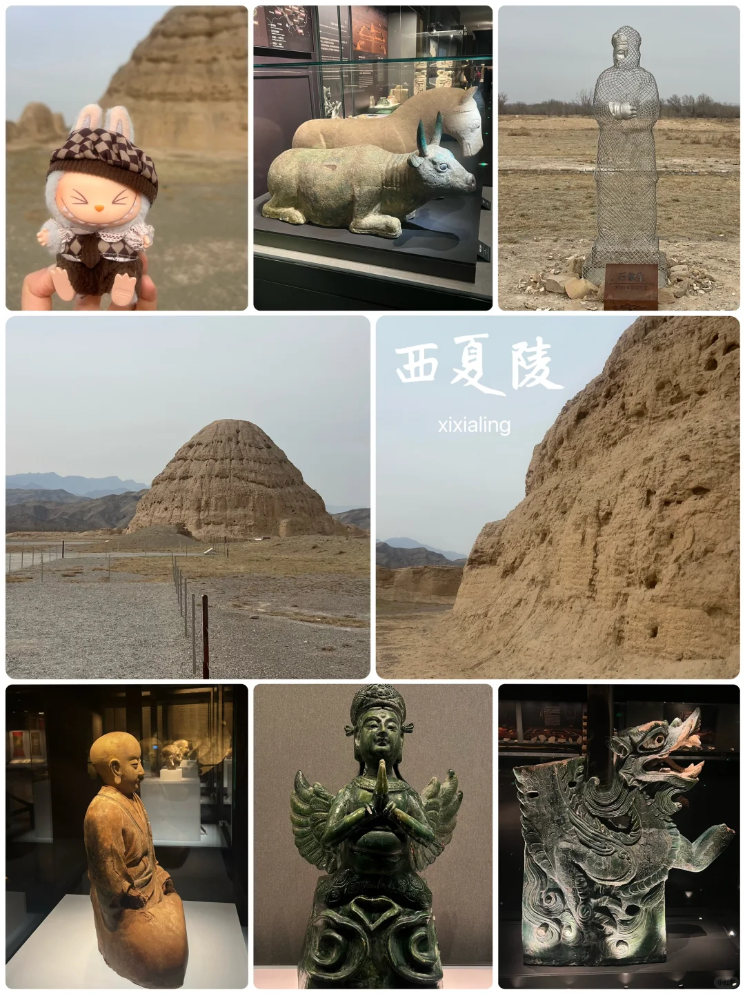 人在银川一天半，👛只受了点皮外伤