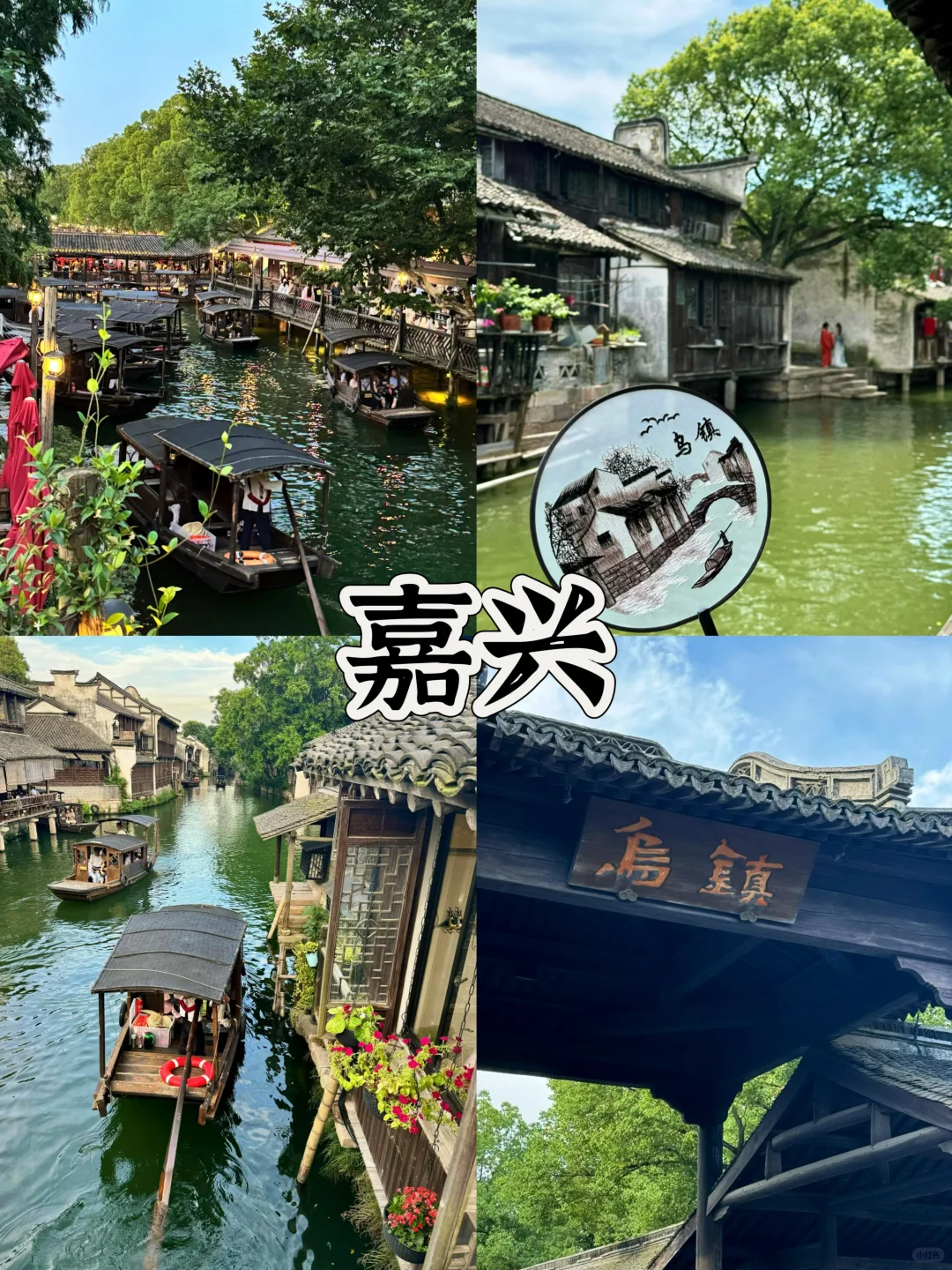 春季短途旅行，1-2h直达！五个南方城市🌃