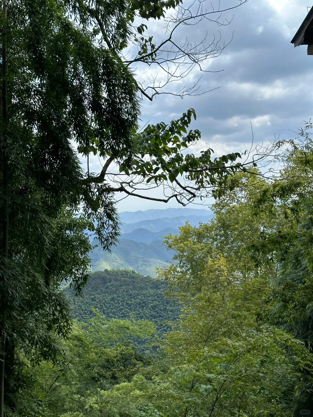 莫干山 舒服😌