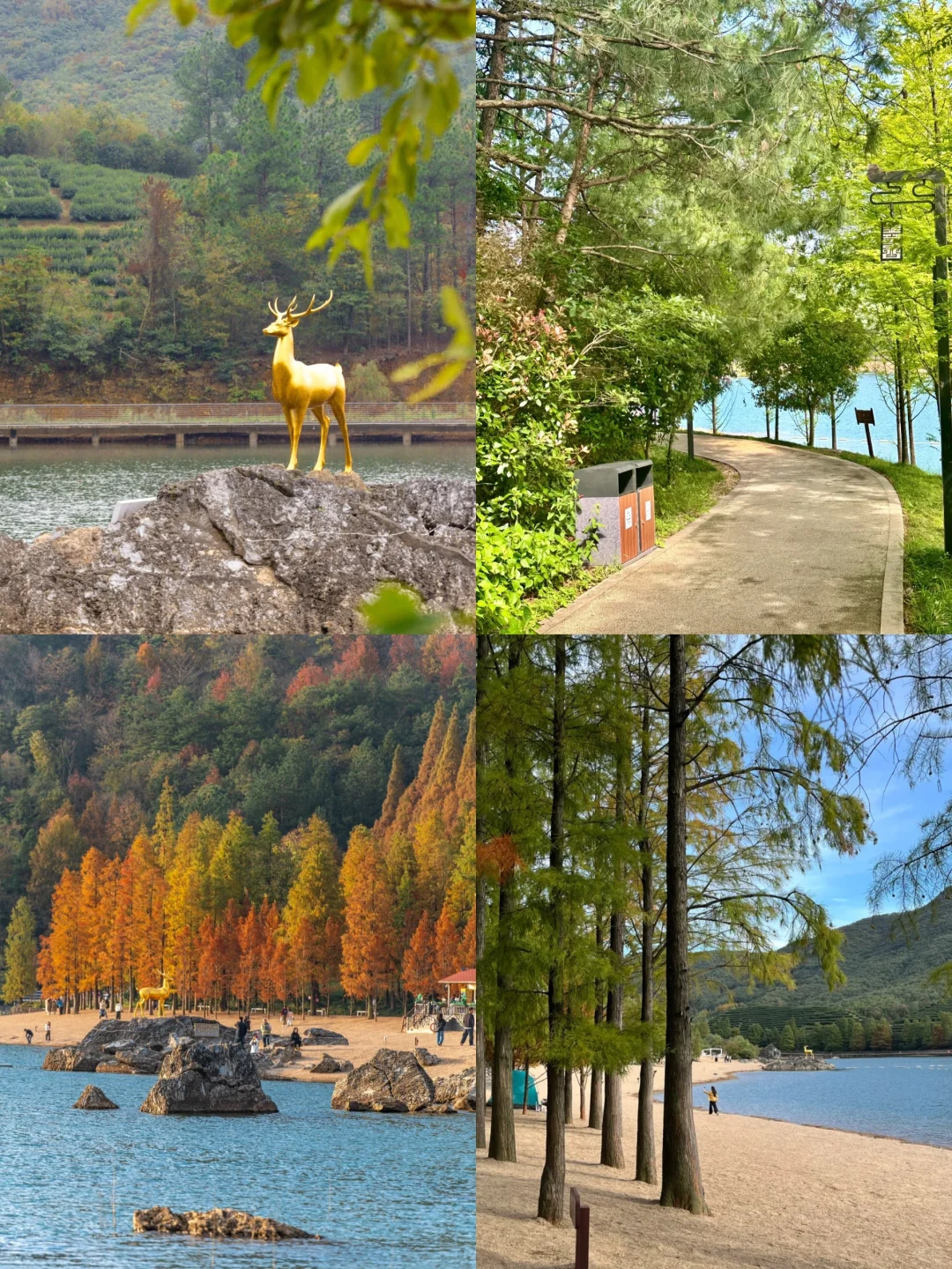双龙洞旅游攻略快接住啦！