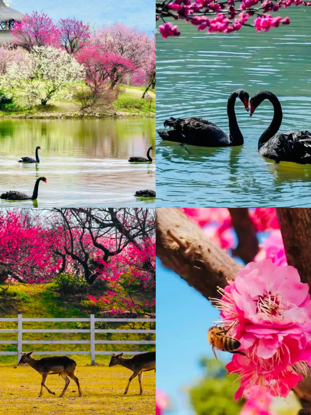 🌈湖州| 3、4月来真香，人少景美旅游宝地！
