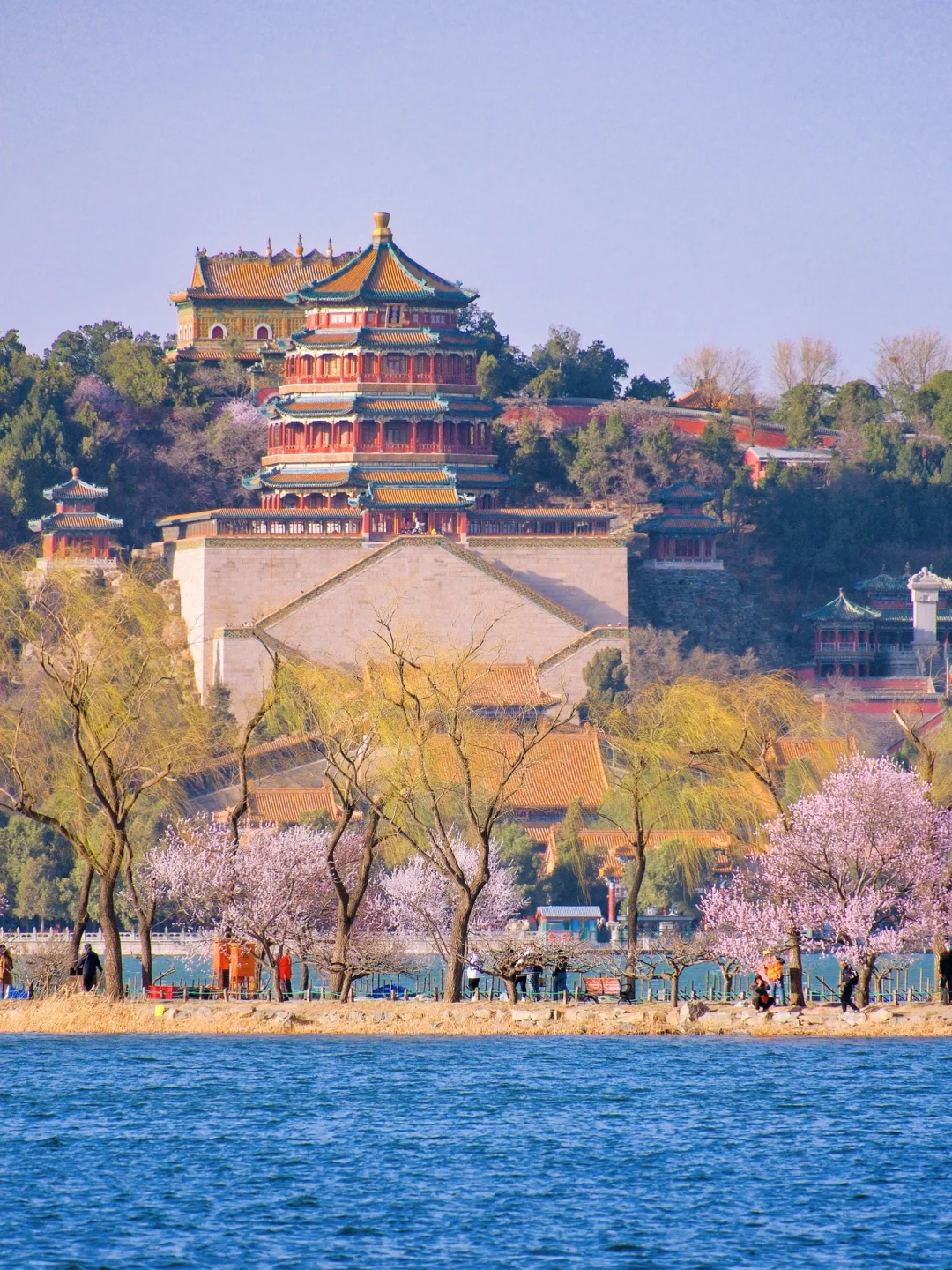 这一刻🌸春和景明具象化了🌷