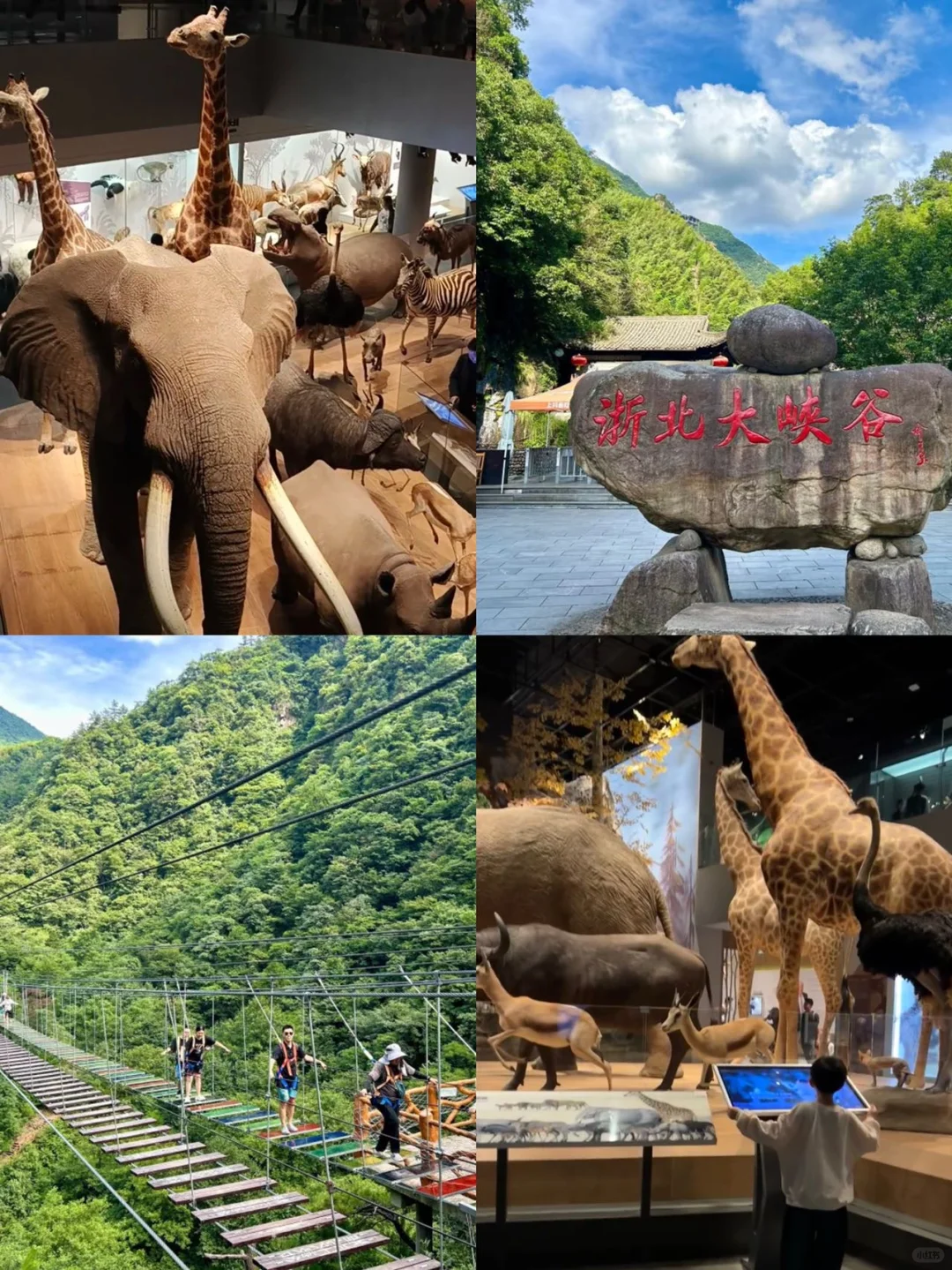 第一次来安吉旅游，千万要做这些攻略。