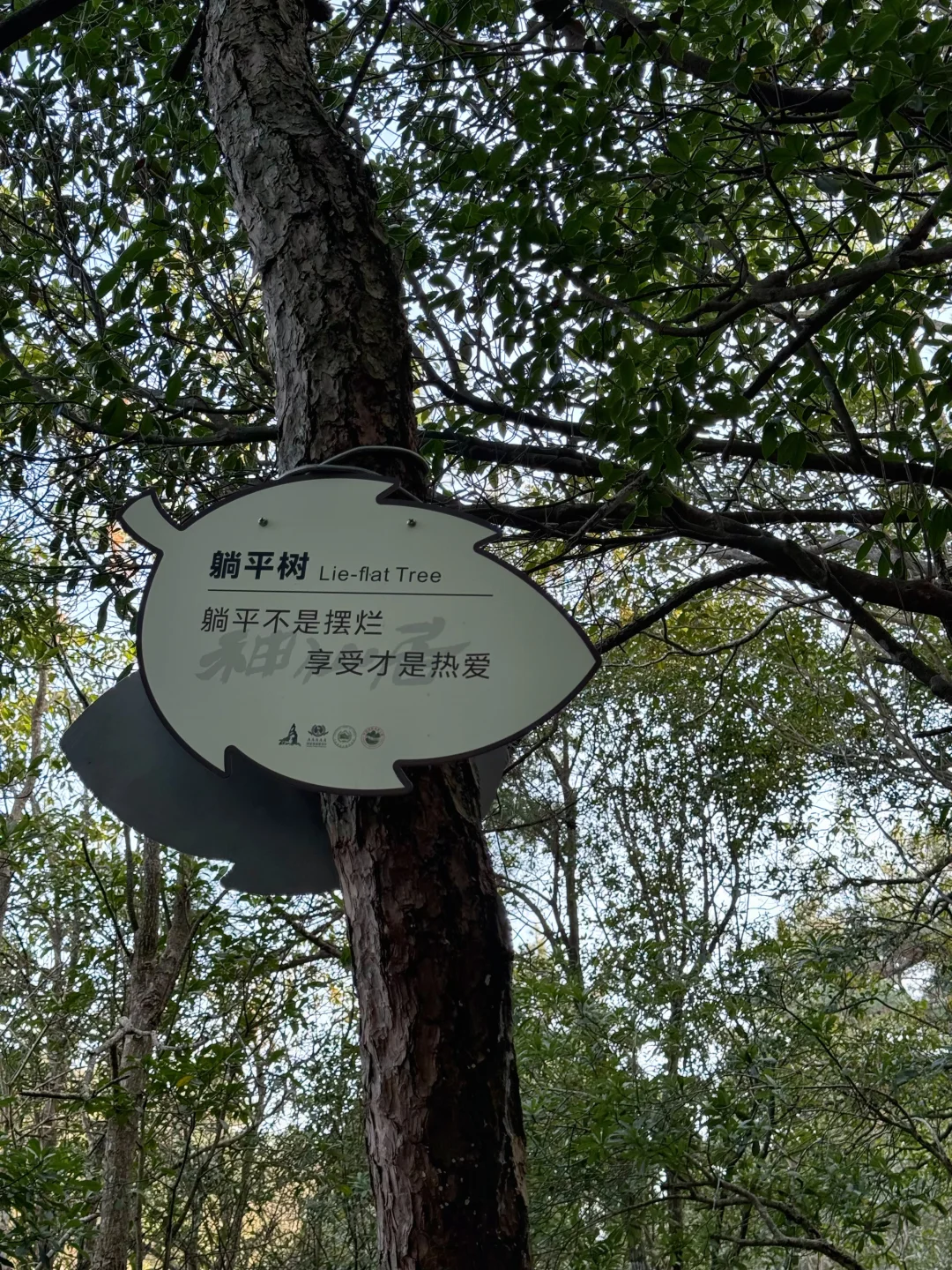 台州｜神仙居让你体验无痛爬山