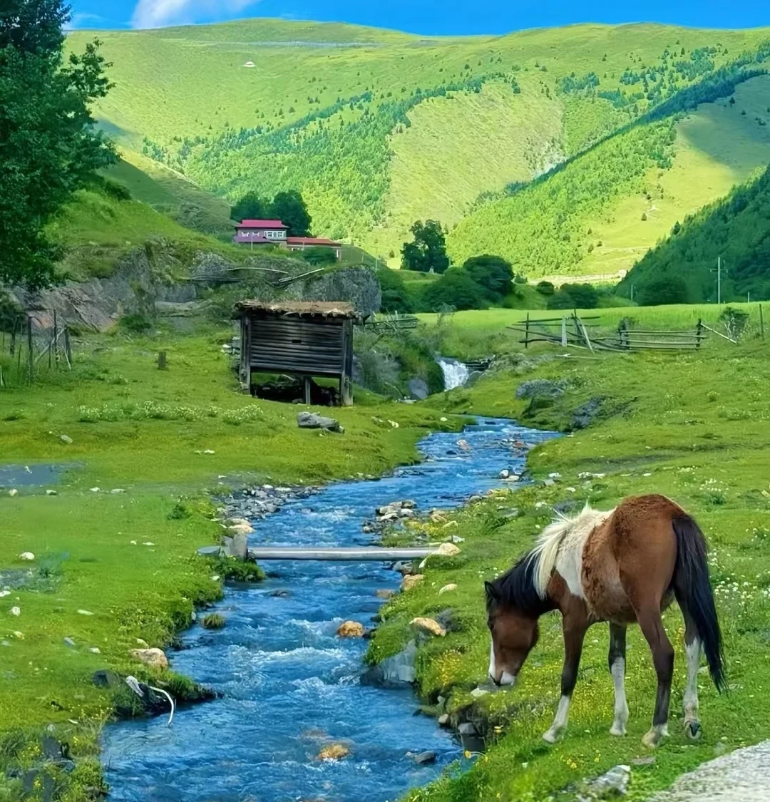 Daocheng-Yading