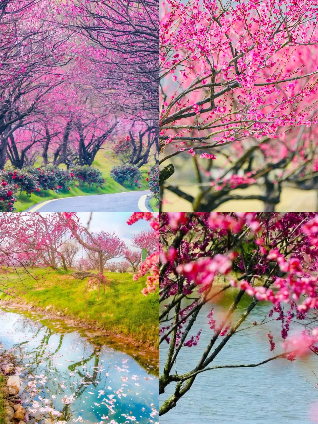 🌈湖州| 3、4月来真香，人少景美旅游宝地！