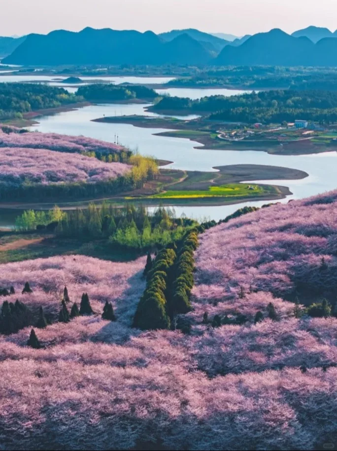 3-5月安顺旅游攻略🌸小众宝藏地大揭秘✨