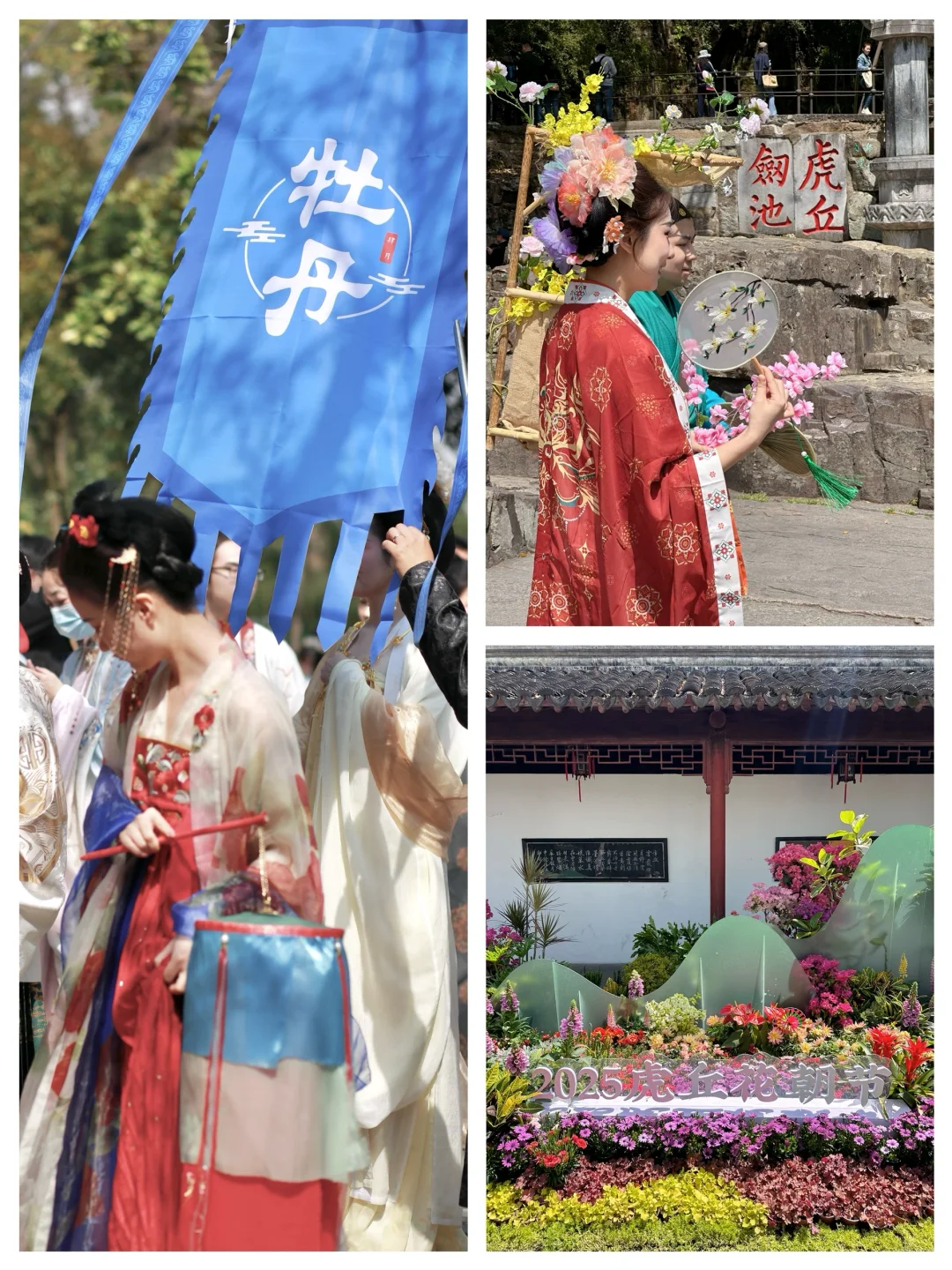到虎丘才知道苏州的春天多治愈！