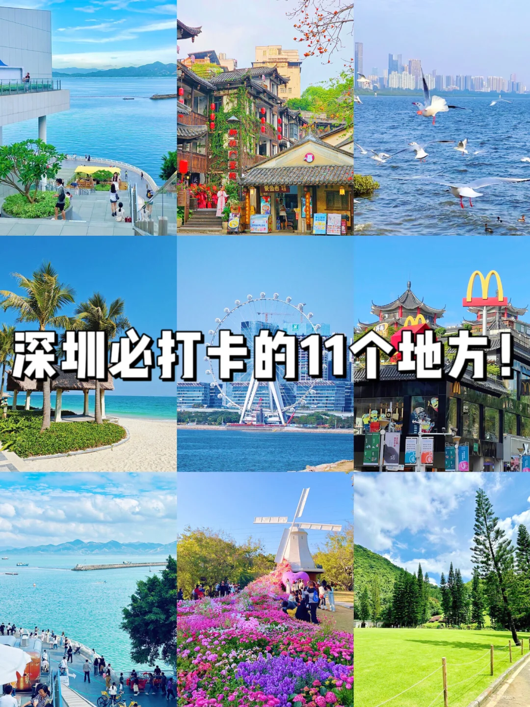 深圳citywalk | 本地人强推的必打卡景点💯