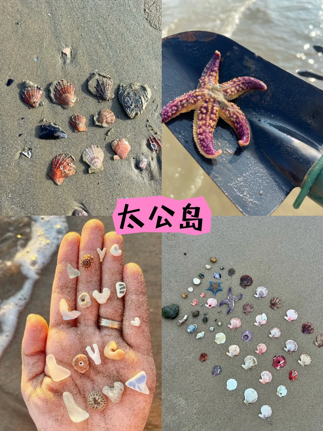 📍清明版日照一日游｜不绕路版攻略｜超详细