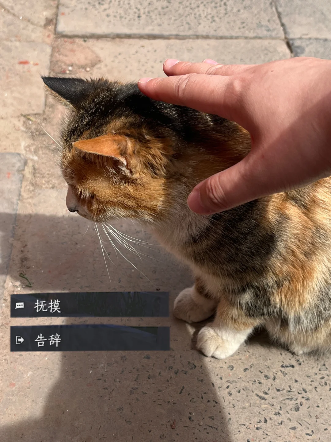 当少东家来到开封be like：