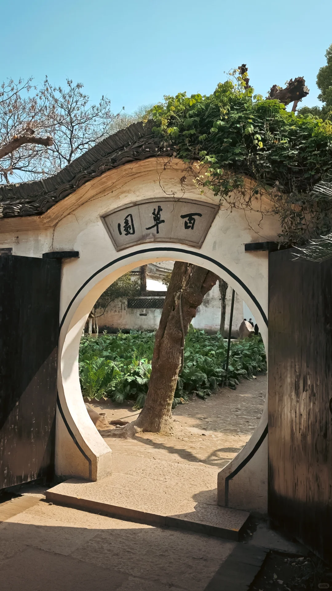 从百草园到三味书屋，一键穿越鲁迅的童年
