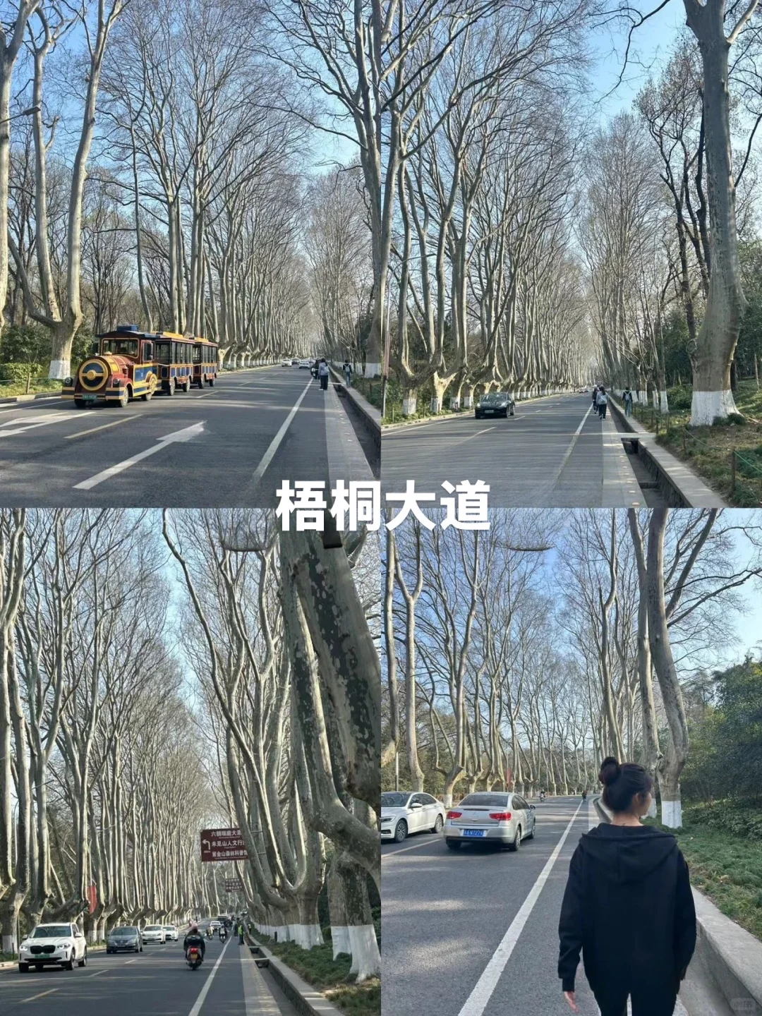 江苏南京旅游必玩的九大景点.