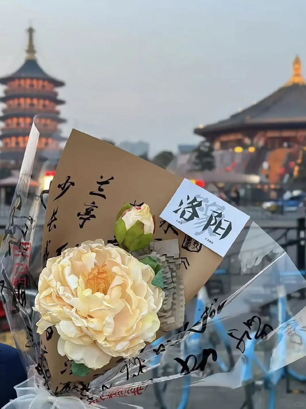 洛阳牡丹节旅游通知!幸好提前看到了😭