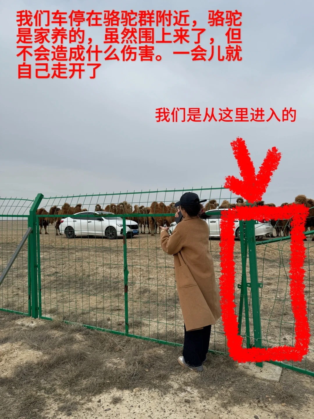 在乌鲁木齐就不能看海了？