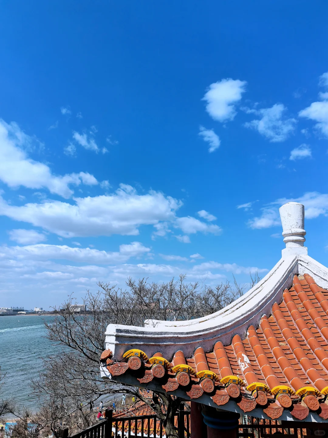 锦州：邂逅海上天路，奔赴烟火人间