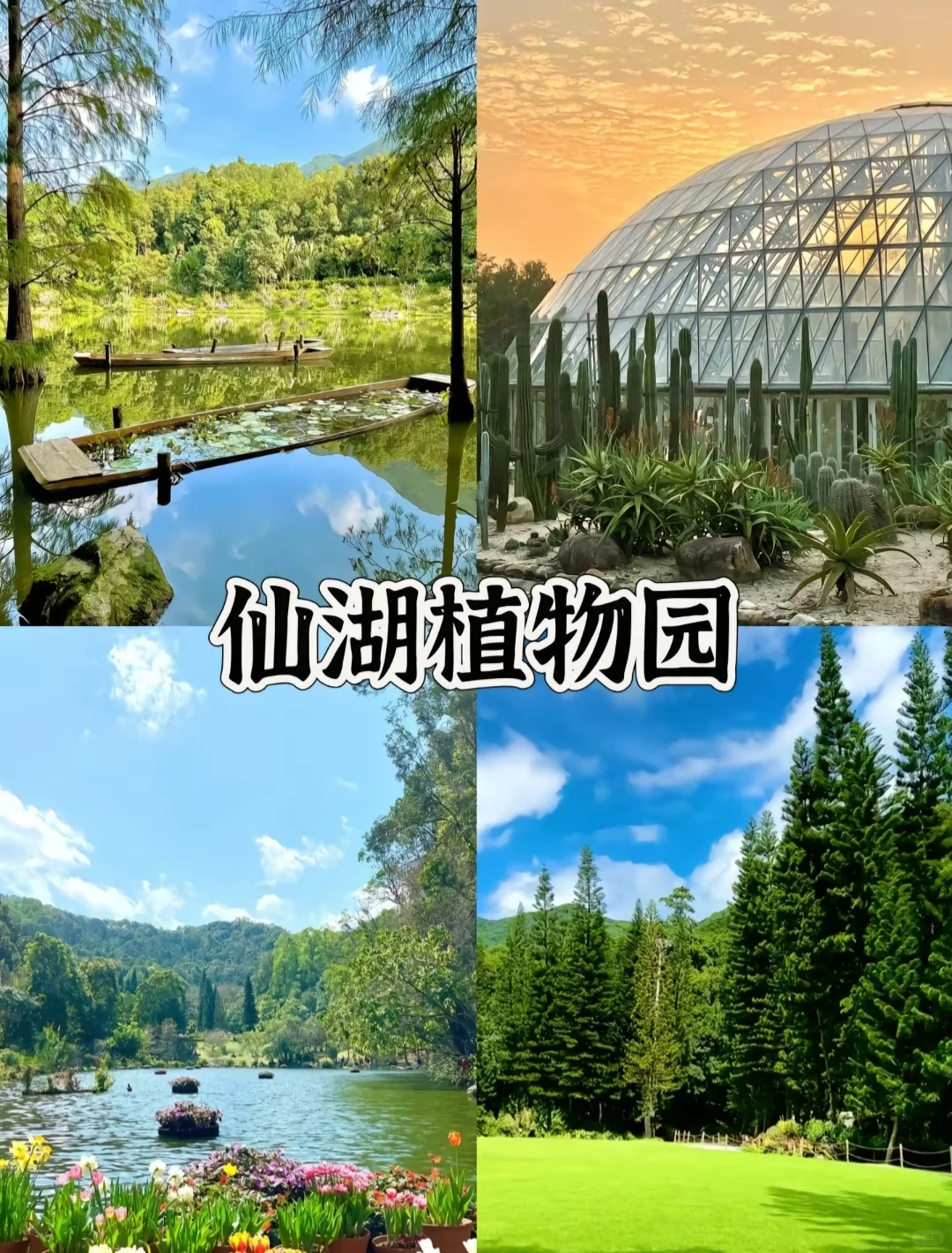 太美了！深圳这🔟个免费景点一定要去打卡