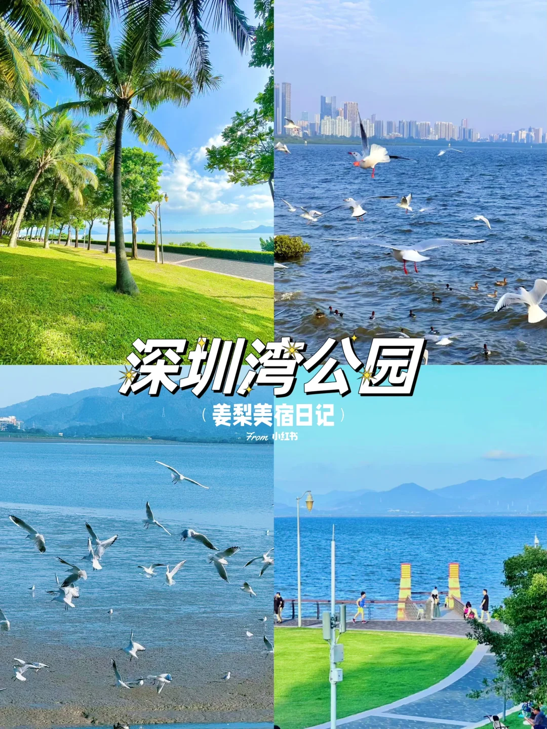 深圳citywalk | 本地人强推的必打卡景点💯
