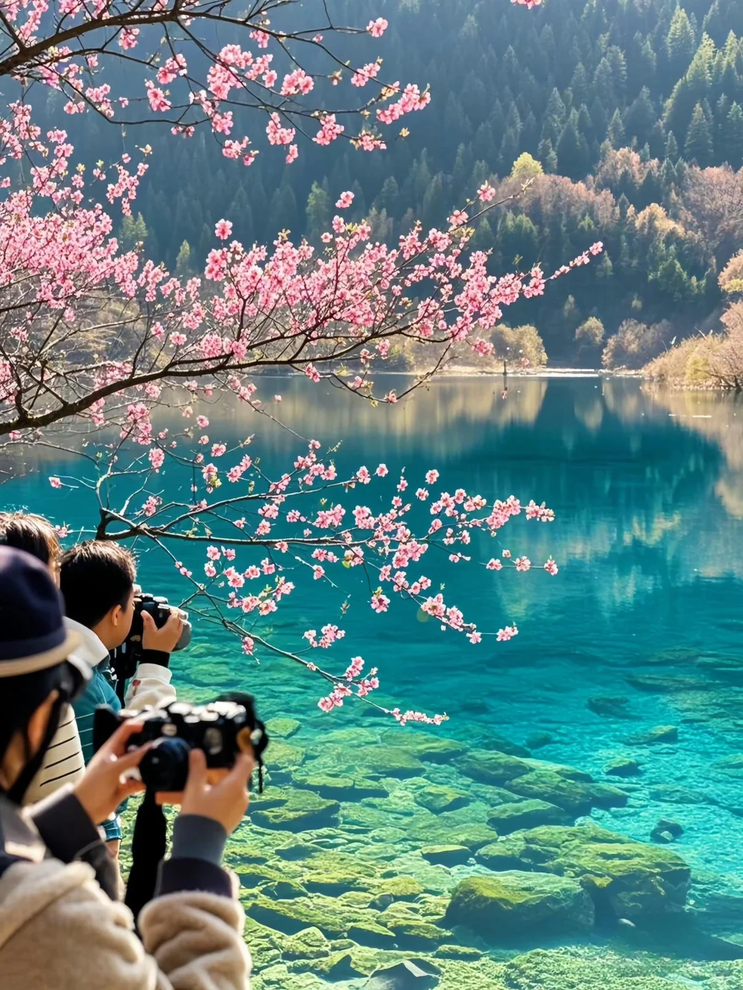 3.24📍九寨沟最新实况！桃花封神季来了🌸