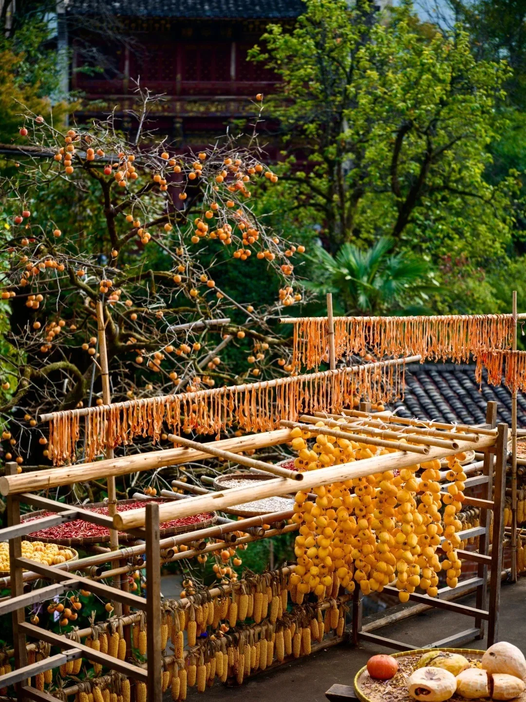 🏯上饶必去九大景点