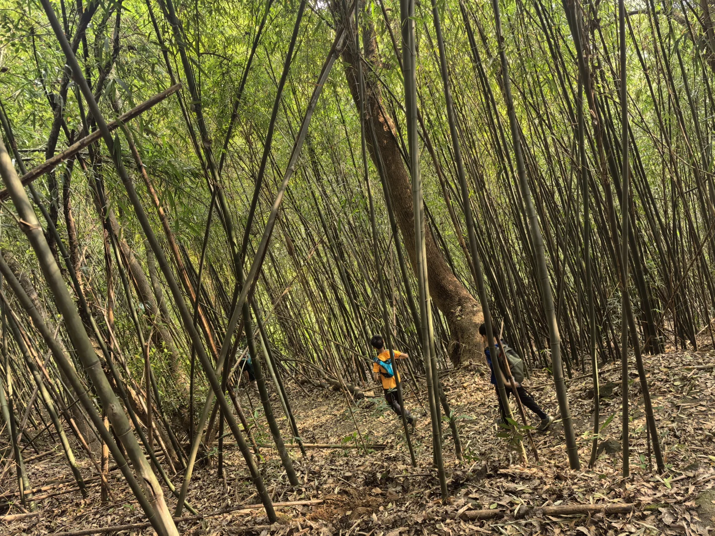 第16条亲子路线 森林秘境云堡寨