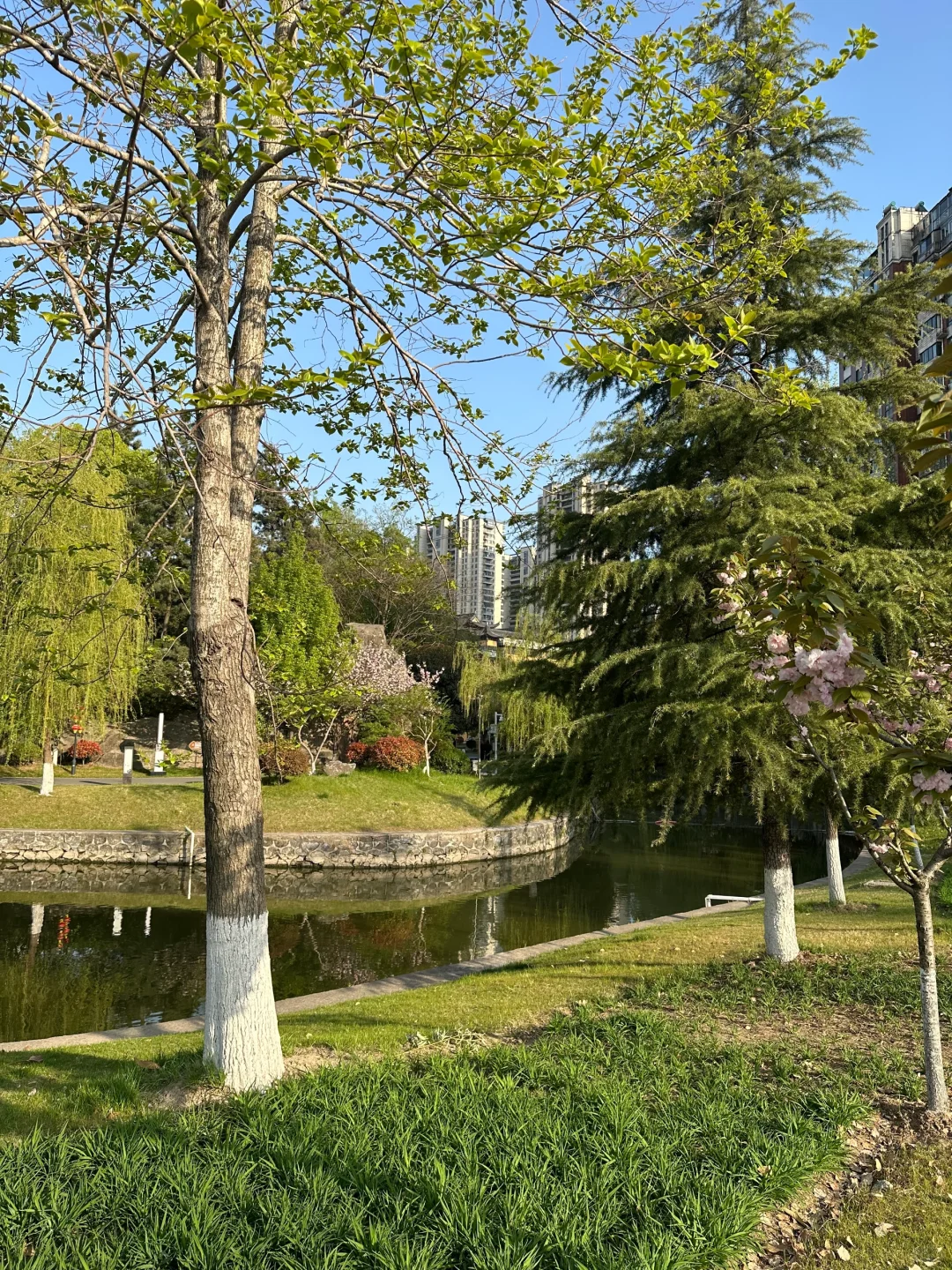 想看看大家节假日景区多少人！