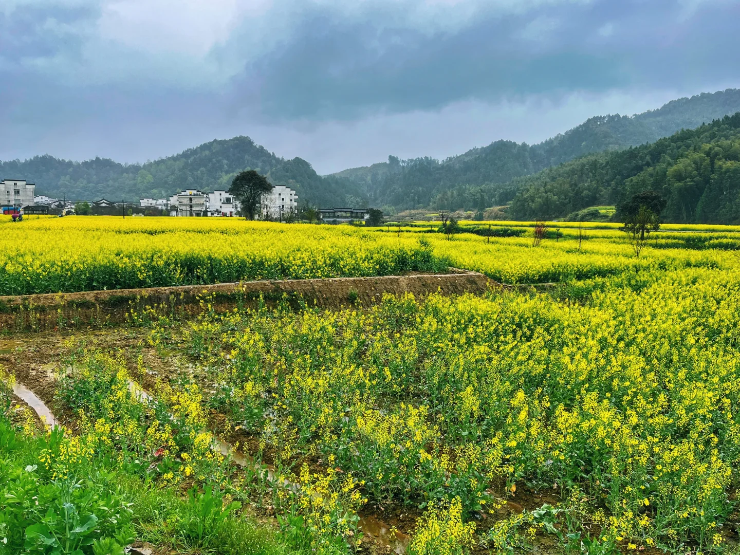冷门景点都是有原因的!