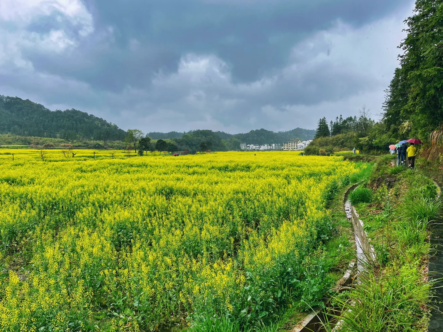 冷门景点都是有原因的!