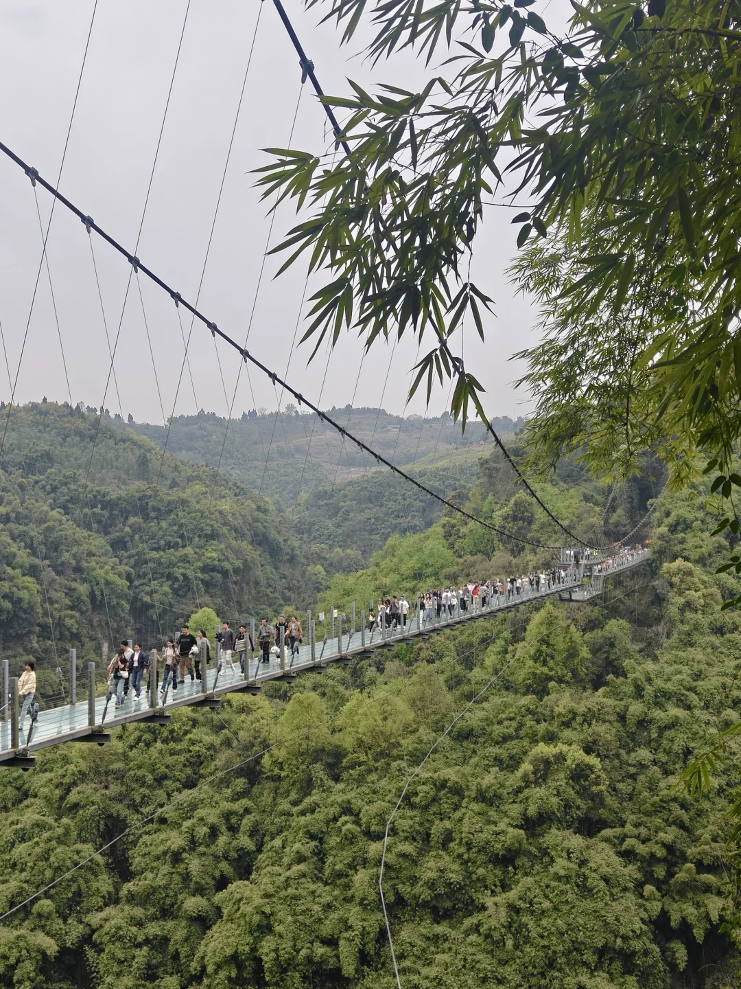 邛崃川西竹海，可以适当避坑
