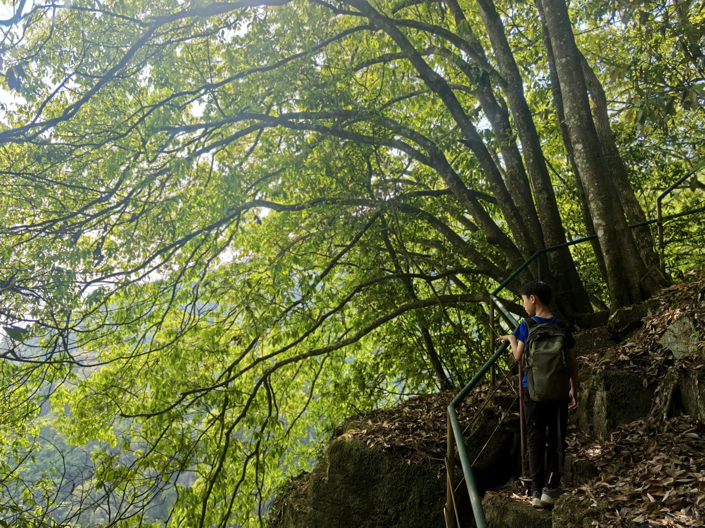 第16条亲子路线 森林秘境云堡寨